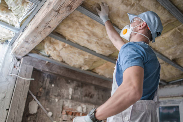 Best Insulation Installation Services in Fort Loramie, OH