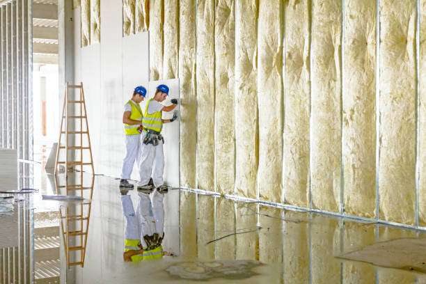 Best Specialty Insulation in Fort Loramie, OH